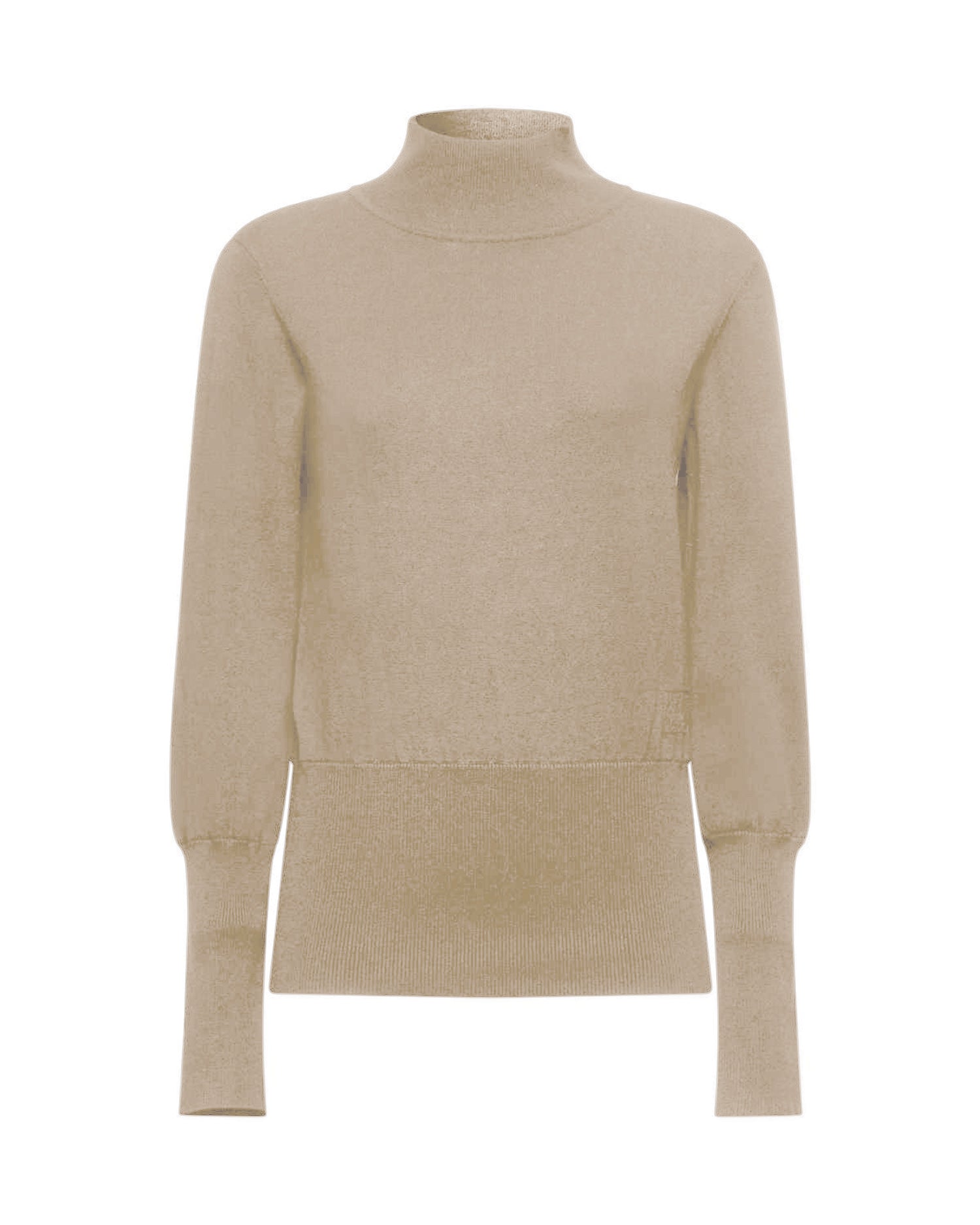 Fitted turtleneck sweater